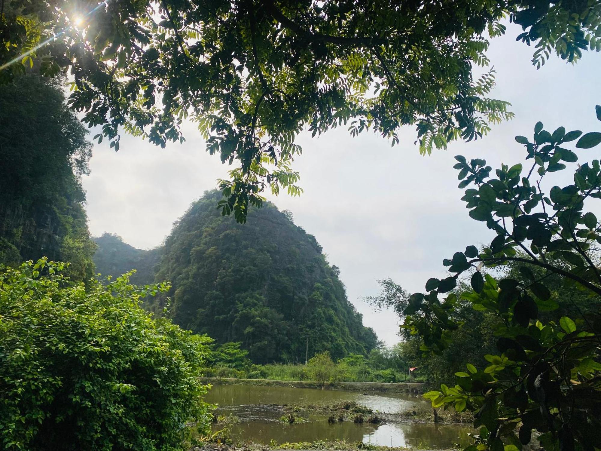 Tamcoc Viet Tan Homestay & Garden Ninh Binh Exterior foto