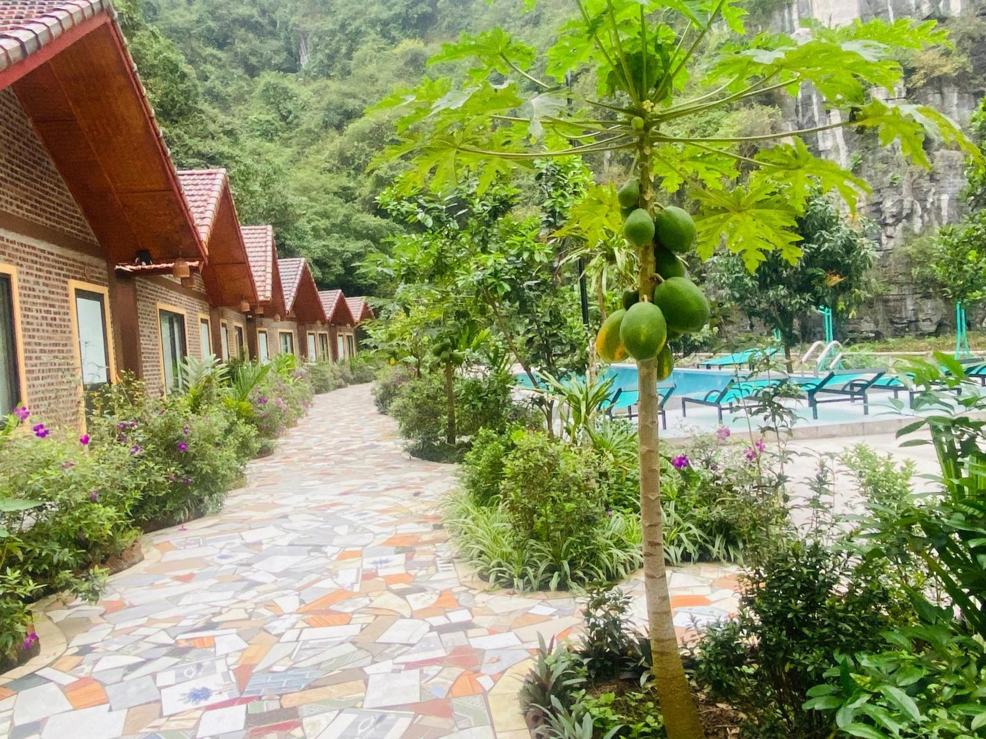 Tamcoc Viet Tan Homestay & Garden Ninh Binh Exterior foto